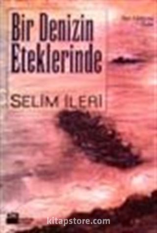 Bir Denizin Eteklerinde