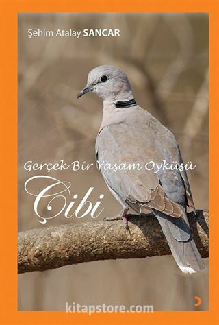 Gerçek Bir Yaşam Öyküsü Çibi