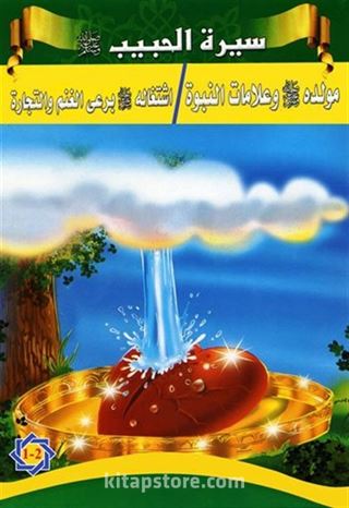 Siretü'l-Habib (5 Kitap)