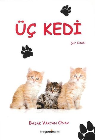 Üç Kedi