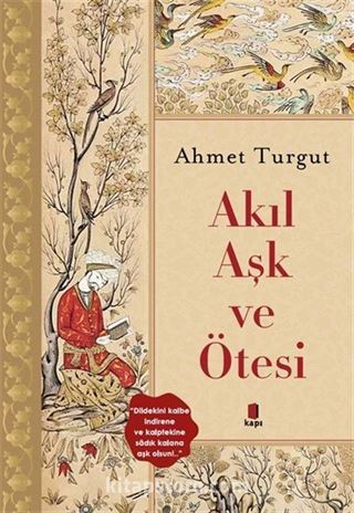 Akıl Aşk ve Ötesi