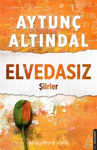 Elvedasız