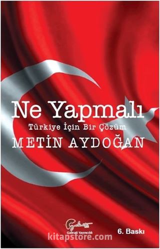 Ne Yapmalı, Türkiye İçin Bir Çözüm