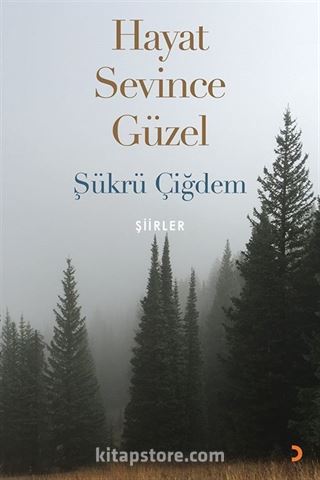 Hayat Sevince Güzel