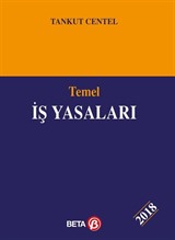 Temel İş Yasaları