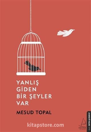 Yanlış Giden Bir Şeyler Var