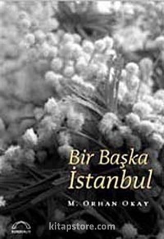 Bir Başka İstanbul