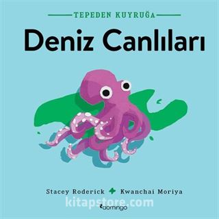 Tepeden Kuyruğa Deniz Canlıları