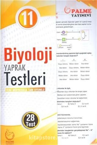 11. Sınıf Biyoloji Yaprak Testleri