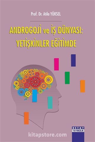 Androgoji ve İş Dünyası: Yetişkinler Eğitimde