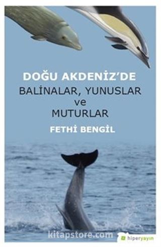 Doğu Akdeniz'de Balinalar, Yunuslar ve Muturlar