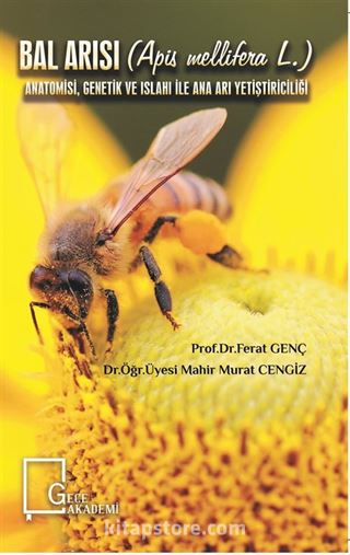 Bal Arısı (Apis Mellifera L.) Anatomisi, Genetik ve Islahı ile Ana Arı Yetiştiriciliği