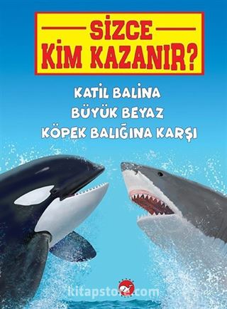 Sizce Kim Kazanır? / Katil Balina Büyük Beyaz Köpek Balığına Karşı