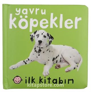 İlk Kitabım / Köpekler