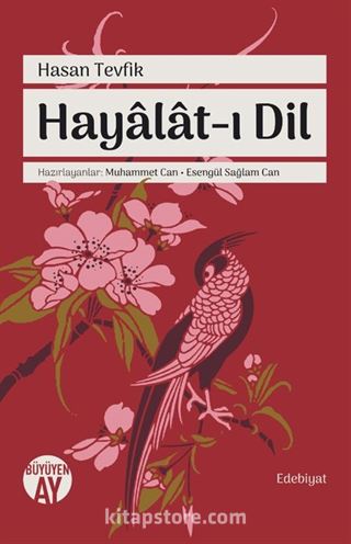 Hayalat-ı Dil