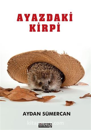 Ayazdaki Kirpi