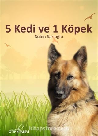 5 Kedi ve 1 Köpek