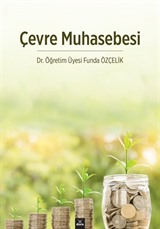 Çevre Muhasebesi