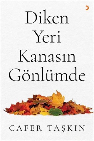 Diken Yeri Kanasın Gönlümde