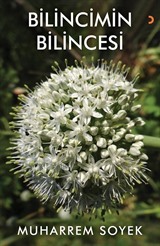 Bilincimin Bilincesi