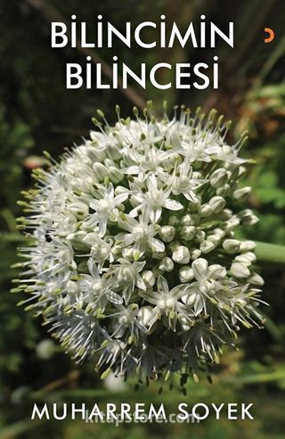 Bilincimin Bilincesi