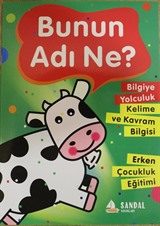 Bunun Adı Ne?