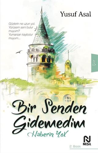 Bir Senden Gidemedim