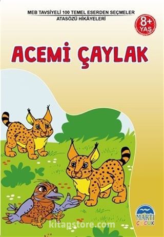 Acemi Çaylak / Atasözü Hikayeleri / 3. Sınıf 100 Temel Eserden Seçmeler Set 1