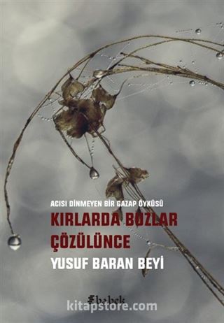 Kırlarda Buzlar Çözülünce