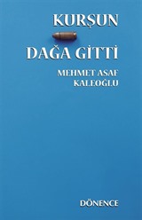 Kurşun Dağa Gitti