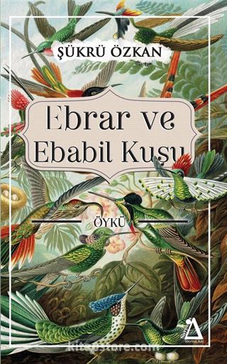 Ebrar ve Ebabil Kuşu