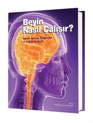 Beyin Nasıl Çalışır?