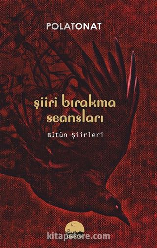 Şiiri Bırakma Seansları