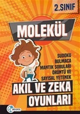 2. Sınıf Molekül Akıl ve Zeka Oyunları