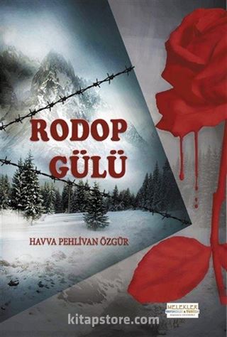 Rodop Gülü