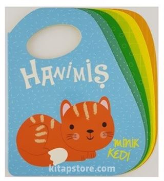 Hanimiş Minik Kedi