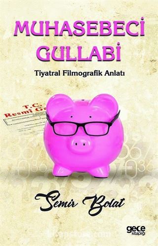 Muhasebeci Gullabi