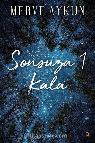 Sonsuza 1 Kala