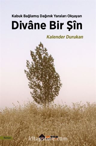 Divane Bir Şin