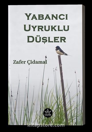 Yabancı Uyruklu Düşler