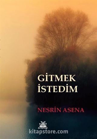 Gitmek İstedim