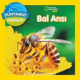 Dünyamızı Keşfedin / Bal Arıları