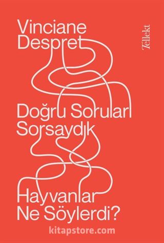 Doğru Soruları Sorsaydık, Hayvanlar Ne Söylerdi?