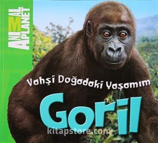 Animal Planet Doğadaki Vahşi Yaşamım Goril