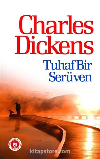 Tuhaf Bir Serüven