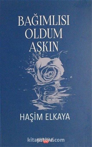 Bağımlısı Oldum Aşkın