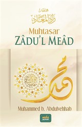 Muhtasar Zadu'l Mead