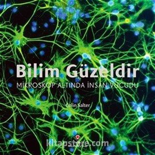 Bilim Güzeldir - Mikroskop Altında İnsan Vücudu