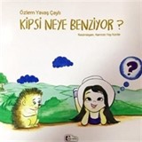 Kipsi Neye Benziyor ?