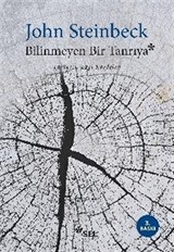 Bilinmeyen Bir Tanrıya